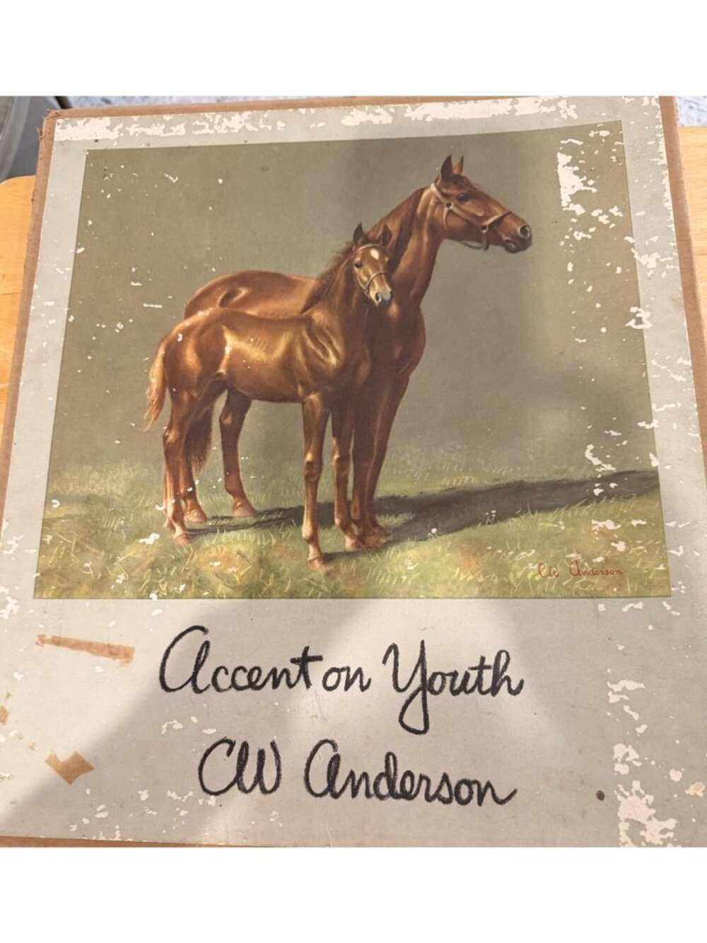 Accent On Youth C. W. Anderson Complete Set of 1950's Vintage Horse Prints